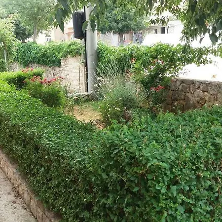 Apartment Antonia