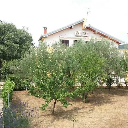Apartment Antonia Obrovac